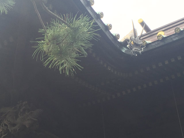 荏原神社　見下ろす龍