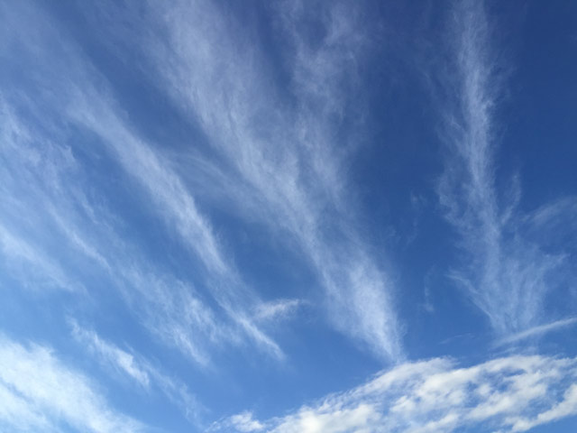龍が龍を呼ぶんです