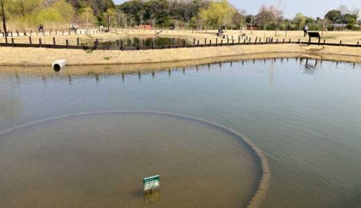 平和の鐘が脳に響き出す